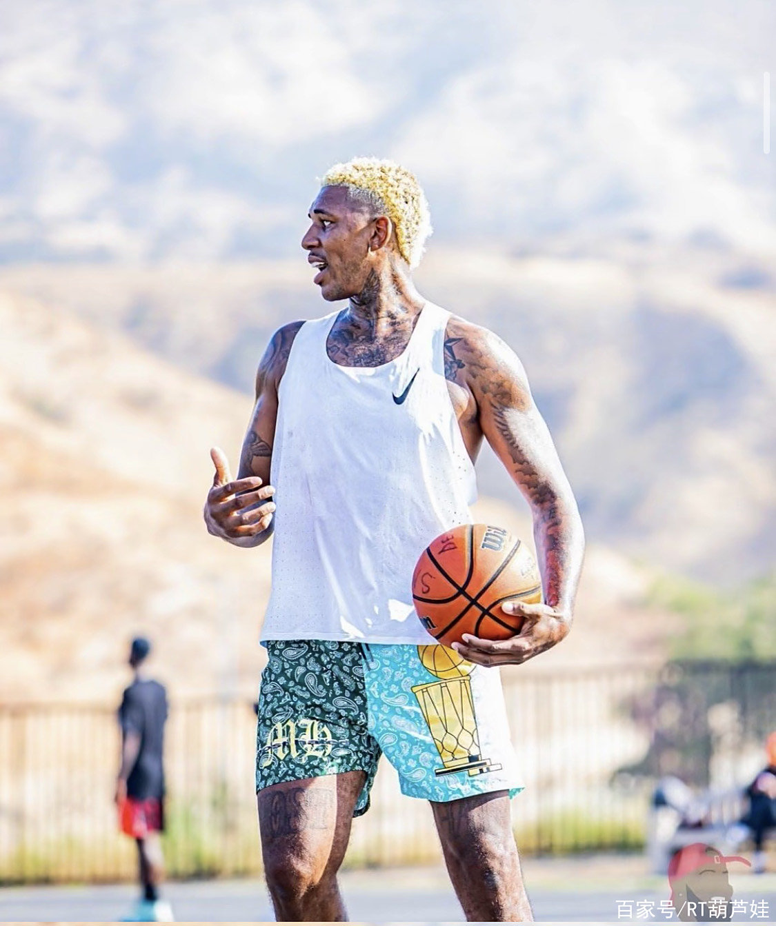 折段的成功 折段的成功